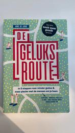 Anne de Jong - De geluksroute, Boeken, Anne de Jong, Ophalen of Verzenden, Ontwikkelingspsychologie, Zo goed als nieuw