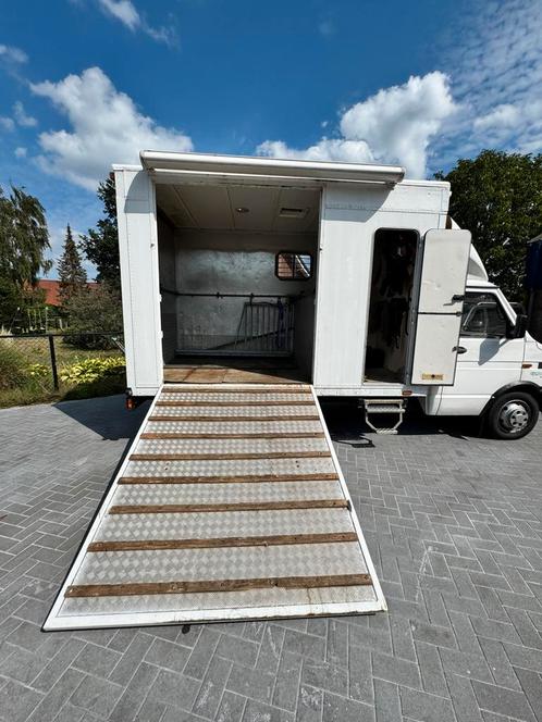 Iveco Daily paardenwagen / crossbus / B-rijbewijs, Auto's, Bestelauto's, Bedrijf, Te koop, Iveco, Diesel, Euro 1, Handgeschakeld