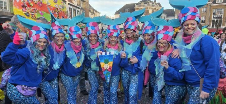 Carnavalsgroep vissen, Kleding | Dames, Carnavalskleding en Feestkleding, Gedragen, Kleding, Carnaval, Maat 46/48 (XL) of groter