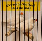 Koppeltje zebravinken, Meerdere dieren