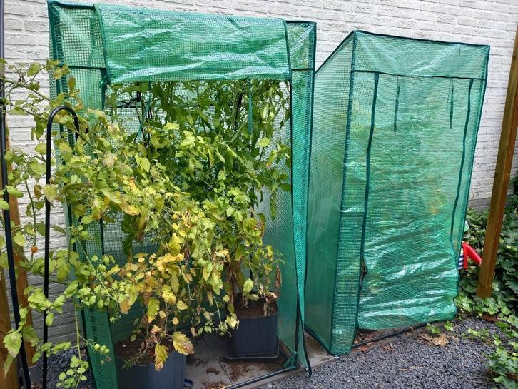 Kweekkas 2 compacte balkon kas broeikas plastic serre, Tuin en Terras, Kweekspullen, Gebruikt, Kweektent, Ophalen