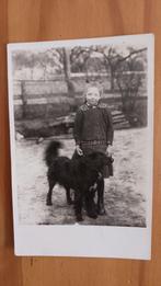 Fotokaart, Meisje met hond (1919), Ophalen of Verzenden, Voor 1940, Gebruikt, Kind