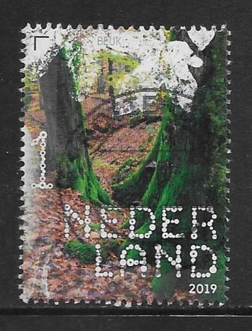 2019, Bomen en Bladeren, Beuk(enbos) [3784] (K1108) beschikbaar voor biedingen