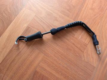 Leash Mystic  beschikbaar voor biedingen