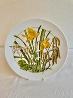 Royal Dulton bord, geschilderd door jan Hill., Ophalen of Verzenden