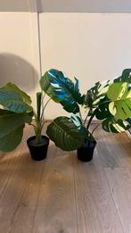 Twee kunstplanten, Ophalen, Gebruikt