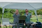 Duo Gezellig, Diensten en Vakmensen, Muzikanten, Artiesten en Dj's