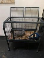 Konijnenhok op wieltjes, Dieren en Toebehoren, Knaagdieren en Konijnen | Hokken en Kooien, Gebruikt, 60 tot 90 cm, Cavia, Ophalen of Verzenden