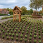 Tuinman hovenier gezocht aangeboden nieuwe vaste planten, Vacatures, Overige vormen