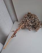 Leuke dadeltak, Huis en Inrichting, Woonaccessoires | Droogbloemen, Ophalen of Verzenden, Zo goed als nieuw