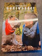 Godswonder (Heidi Swerts), Ophalen of Verzenden, Zo goed als nieuw