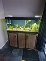 Aquarium compleet, Ophalen, Zo goed als nieuw, Gevuld zoetwateraquarium