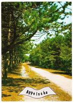 Appelscha gelopen Ansichtkaart ( B2731), Ophalen of Verzenden, 1980 tot heden, Gelopen