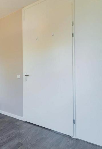 Svedex deuren 93 x 231,5 beschikbaar voor biedingen