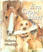 Boek Belinda Meuldijk - Een groot hart, Boeken, Ophalen of Verzenden, Belinda Meuldijk, Zo goed als nieuw, Verhalen