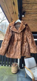 Bontjas, Nerts uit 1980. Maat S/M kort model, Kleding | Dames, Jassen | Winter, Ophalen of Verzenden, Gedragen, Maat 38/40 (M)