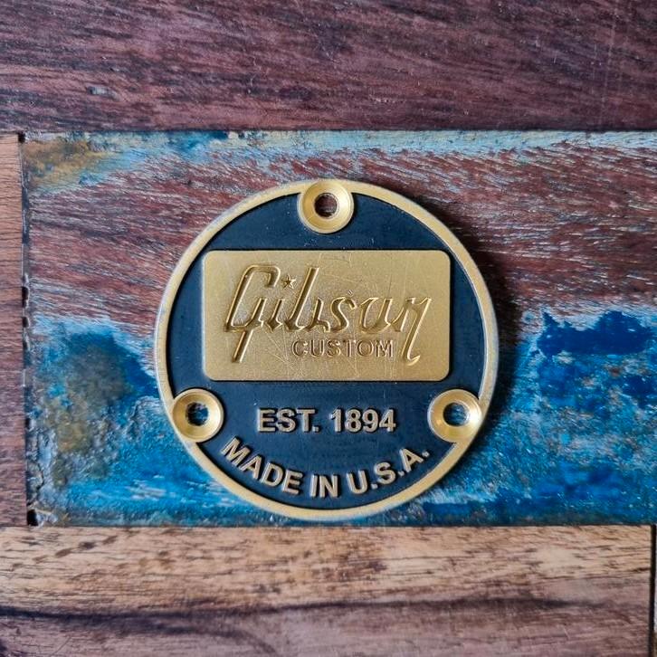 Gibson custom toggle switch back plate (imitatie), Muziek en Instrumenten, Snaarinstrumenten | Overige, Zo goed als nieuw, Overige typen