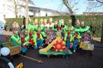 Carnavalskostuums Loopgroep met Accessoires, Ophalen, Zo goed als nieuw