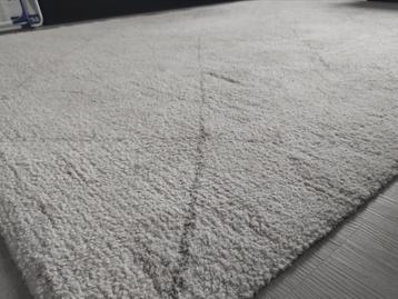 Vloerkleed 170x240cm - Mooi formaat! beschikbaar voor biedingen