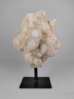 Calciet op standaard, Ophalen of Verzenden, Mineraal