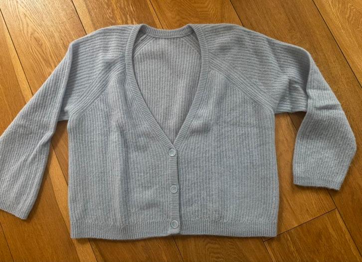 Mooi lichtblauw vest Ckaudia Sträter m 44 NIEUW, Kleding | Dames, Truien en Vesten, Nieuw, Maat 42/44 (L), Blauw, Ophalen of Verzenden