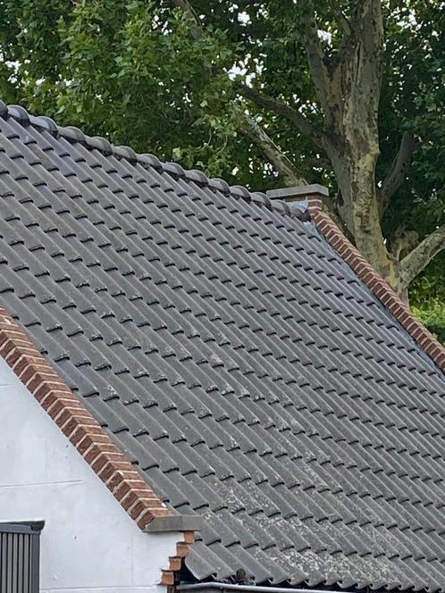 176 stuks Koramic Pottelberg Alegra 10 vlakke dakpannen, Doe-het-zelf en Verbouw, Dakpannen en Dakbedekking, Zo goed als nieuw