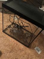Superfish Aquarium Start 30 - Led 27 l - Aquaria - Zwart, Dieren en Toebehoren, Vissen | Aquaria en Toebehoren, Ophalen, Zo goed als nieuw