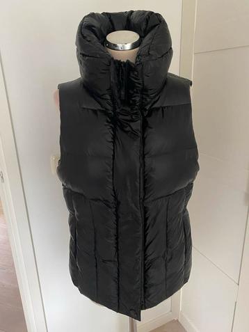 Drykorn Bodywarmer - Zwart maat L beschikbaar voor biedingen