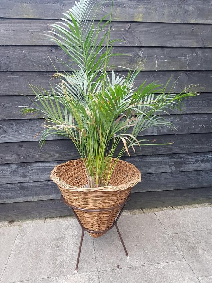 Rieten puntmand in metalen houder - Vintage jaren 60-70, Huis en Inrichting, Woonaccessoires | Schalen en Manden, Gebruikt, Mand