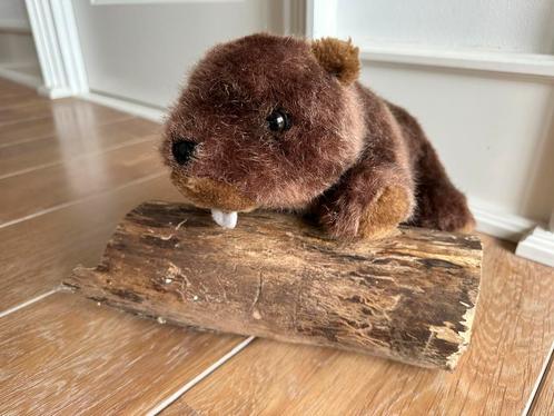 Bever plusch 50 cm lang., Kinderen en Baby's, Speelgoed | Knuffels en Pluche, Zo goed als nieuw, Overige typen, Ophalen