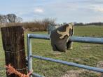 Rijstzak broekmodel, Audio, Tv en Foto, Fotografie | Statieven en Balhoofden, Ophalen of Verzenden, Zo goed als nieuw, Minder dan 150 cm