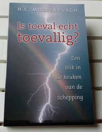 IS TOEVAL ECHT TOEVALLIG? In de keuken van de schepping beschikbaar voor biedingen