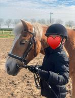 Cap maat 54 (kind tot 12 jaar), Dieren en Toebehoren, Paarden en Pony's | Verzorgingsproducten, Ophalen of Verzenden, Gebruikt