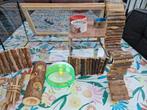 Hamsterkooi glas 60x30x30, Dieren en Toebehoren, Kooi, Minder dan 75 cm, Zo goed als nieuw, Hamster