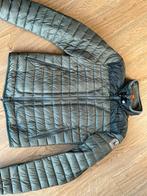 parajumpers jas dames, Parajumpers, Ophalen of Verzenden, Zo goed als nieuw, Groen