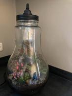 Lamp planten terrarium, Huis en Inrichting, Ophalen, Zo goed als nieuw