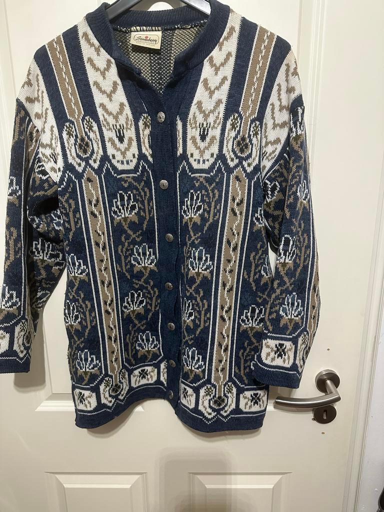 Gebreid Noors vest - Blauw maat 40 42, Kleding | Dames, Truien en Vesten, Ophalen of Verzenden, Gedragen, Maat 38/40 (M), Blauw