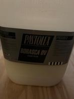 Pastolex Borasca Voorstrijk , 5 liter, Nieuw, Verf, 5 tot 10 liter, Ophalen