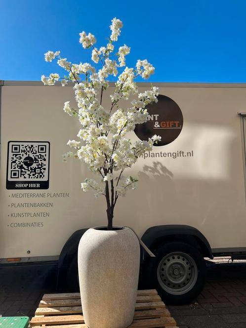 ACTIE! Kunstbloesembomen in pot Harrith of Lena, Huis en Inrichting, Woonaccessoires | Kunstplanten en Kunstbloemen, Zo goed als nieuw