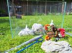 Aquarium met accessoires en pomp, Dieren en Toebehoren, Ophalen, Zo goed als nieuw, Leeg aquarium