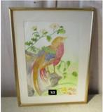 Mooi geschilderd Aquarel 'Kleurrijke Vogel' - Pel 88, Antiek en Kunst, Kunst | Schilderijen | Klassiek, Ophalen of Verzenden