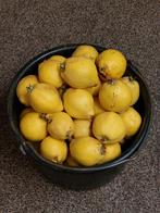 Verse Kweepeer Oogst, Ophalen