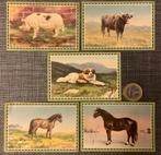 Chlorodont Plaatjes van Dieren 1933, Ophalen, Zo goed als nieuw, Meerdere plaatjes