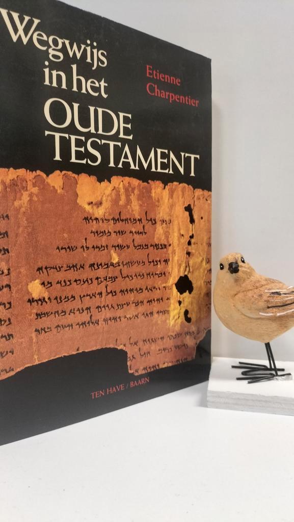 Charpentier, Etienne; Wegwijs in het Oude Testament, Boeken, Godsdienst en Theologie, Gelezen, Christendom | Protestants, Ophalen of Verzenden