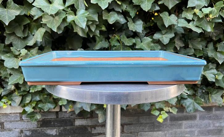 Bonsai schaal licht blauw geglazuurd Japans 41,2x29x5,4, Tuin en Terras, Bloempotten, Zo goed als nieuw, Aardewerk, Minder dan 40 cm
