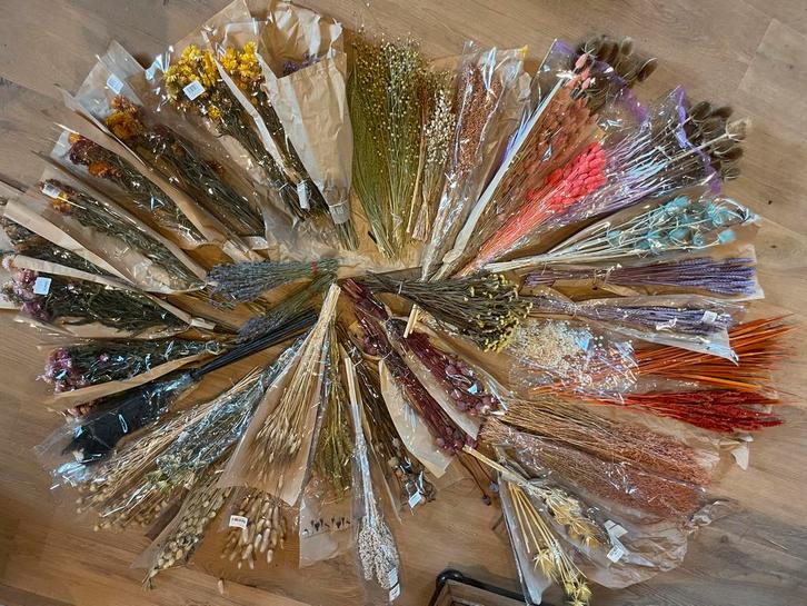 droogbloemen - 40 bossen - kleurrijke variatie, Huis en Inrichting, Woonaccessoires | Droogbloemen, Nieuw, Ophalen