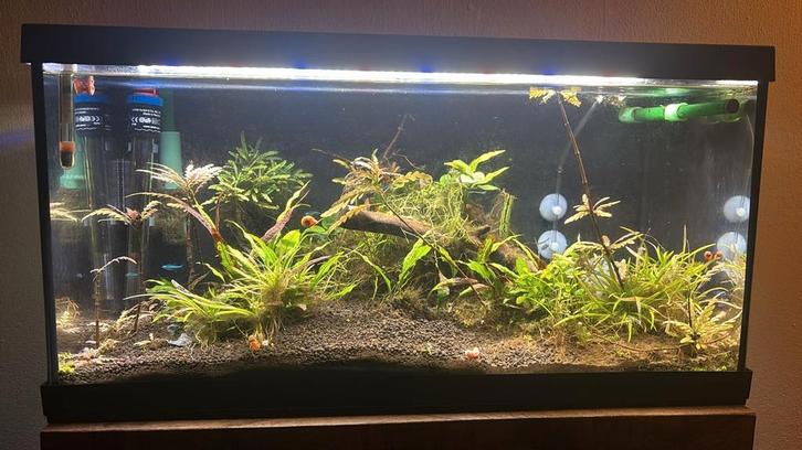 Aquarium, inhoud en toebehoren €65,00, Dieren en Toebehoren, Vissen | Aquaria en Toebehoren, Zo goed als nieuw, Leeg aquarium