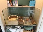 Hamster/ gerbil terrarium 80x35x40, Dieren en Toebehoren, Knaagdieren en Konijnen | Hokken en Kooien, Gebruikt, Hamster, Hok, 75 tot 110 cm