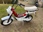 Gilera Citta volledig gereviseerd 65cc, Fietsen en Brommers, Ophalen, 65 cc, Zo goed als nieuw, 1 versnellingen
