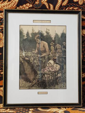 Hop garden mooie antieke ingelijste Engelse gravure uit 1884 beschikbaar voor biedingen